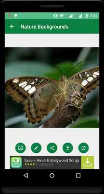 Play Nature Backgrounds
