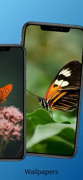 Play Nature Background Wallpaper as an online game Nature Background Wallpaper with UptoPlay