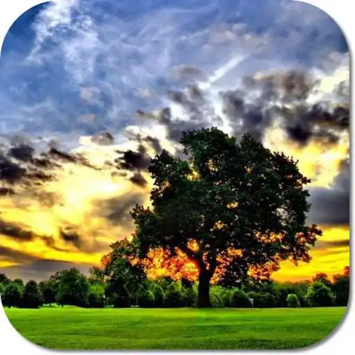 Free play online Nature Beauty HD Wallpapers  APK