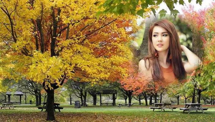 Play Nature Flowers Photo Frames 2018