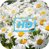 Free play online Nature Galaxy S6 Wallpaper HD APK Free play online Nature Galaxy S6 Wallpaper HD APK