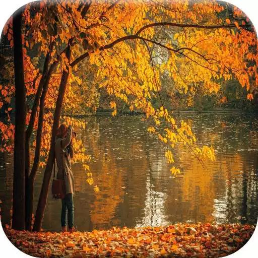 Free play online Nature Good Morning APK