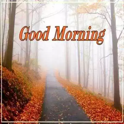 Play Nature Good Morning