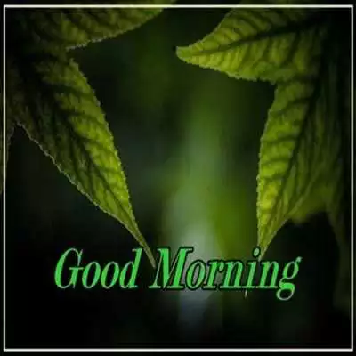 Play Nature Good Morning