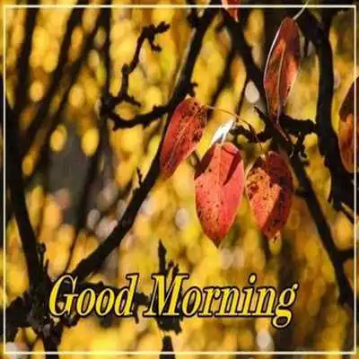 Play Nature Good Morning