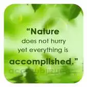 Free play online Nature Green APK Free play online Nature Green APK