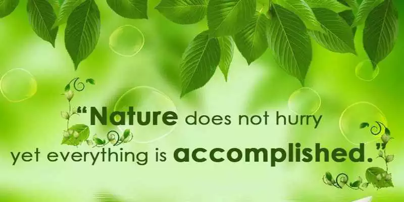 Play Nature Green