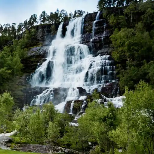Run free android online Nature HD Live Wallpaper APK