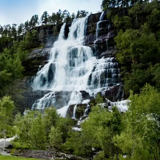 Play Nature Hd Live Wallpaper Pro APK Play Nature Hd Live Wallpaper Pro APK