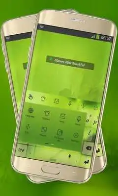 Play Nature Hint Keypad Layout