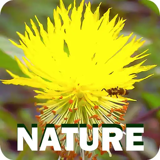 Play Nature APK Play Nature APK