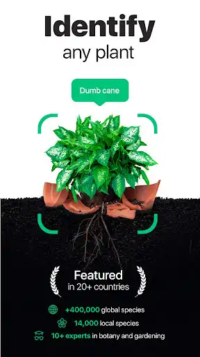 Play NatureID- Plant Identification  and enjoy NatureID- Plant Identification with UptoPlay
