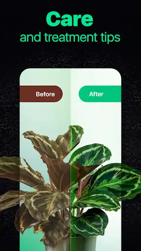 Play NatureID- Plant Identification as an online game NatureID- Plant Identification with UptoPlay
