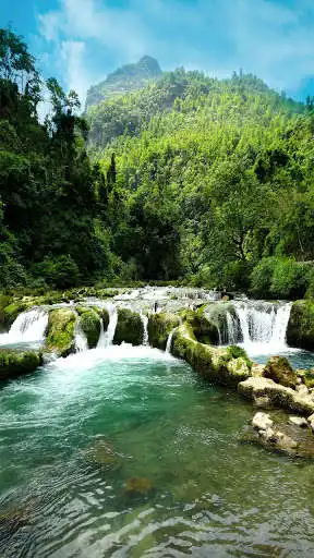 Play Nature Images