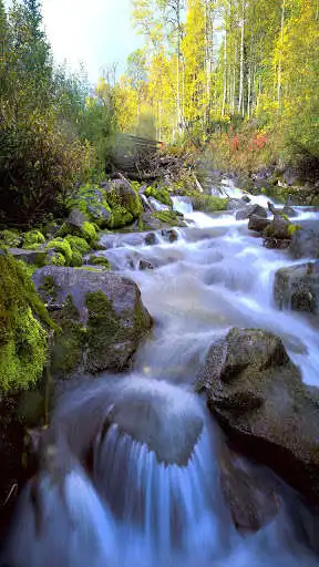 Play Nature Images