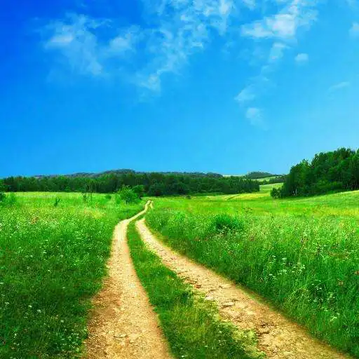 Play Nature Landscape Pathway HD Wallpaper APK