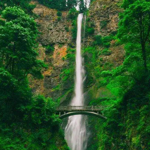 Play Nature Love APK