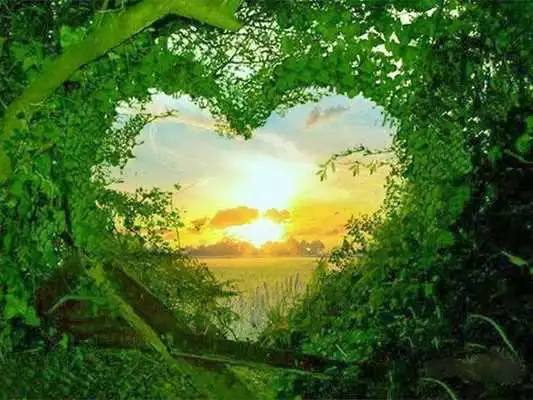 Play Nature Love Images