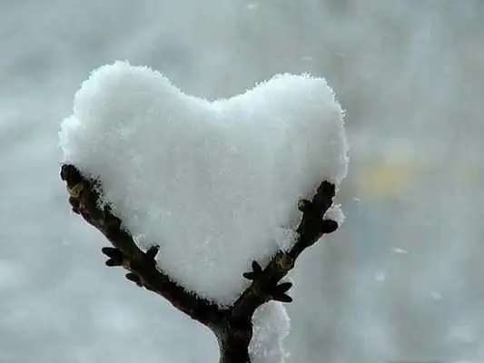 Play Nature Love Images