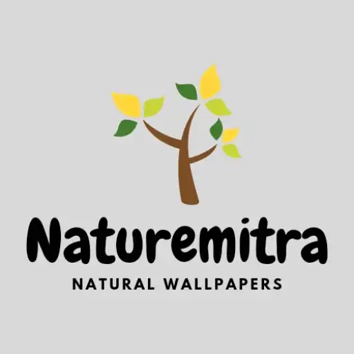 Play Naturemitra Unique Wallpapers APK