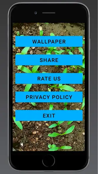 Play Naturemitra Unique Wallpapers  and enjoy Naturemitra Unique Wallpapers with UptoPlay