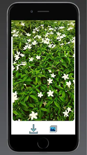 Play Naturemitra Unique Wallpapers as an online game Naturemitra Unique Wallpapers with UptoPlay