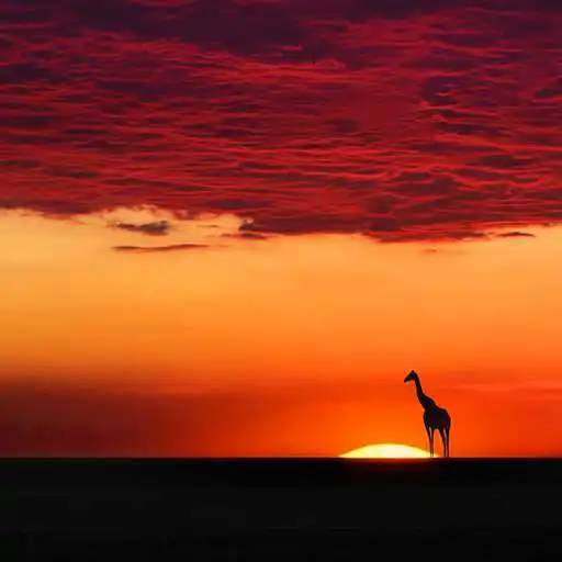 Free play online Nature Pictures HD Wallpapers APK
