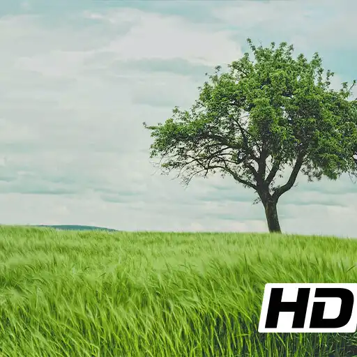 Play nature pictures APK