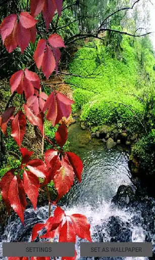 Play Nature Pond Live Wallpaper