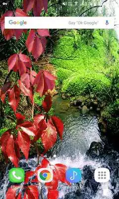 Play Nature Pond Live Wallpaper