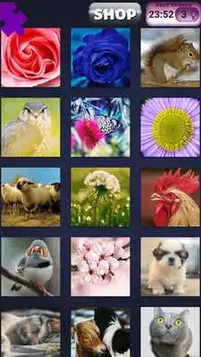 Play Nature Puzzles for Children