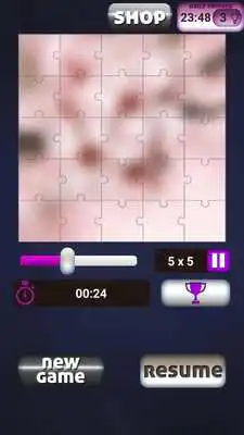 Play Nature Puzzles for Children
