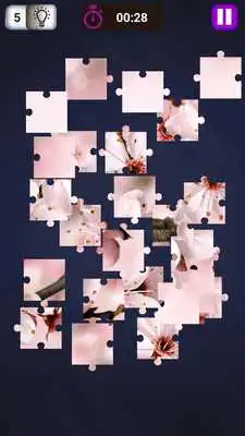 Play Nature Puzzles for Children