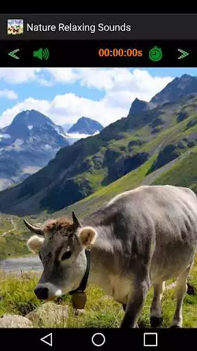 Play Nature Relaxing Sounds as an online game Nature Relaxing Sounds with UptoPlay