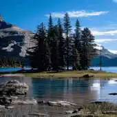 Free play online Nature River Live Wallpaper APK