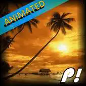 Free play online Nature Sea Sunset Wallpaper APK