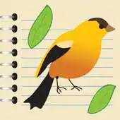 Free play online Natures Notebook APK