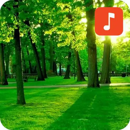 Play Nature Sound Effects APK Play Nature Sound Effects APK