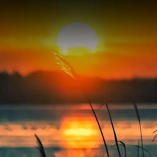 Free play online Nature Sound APK