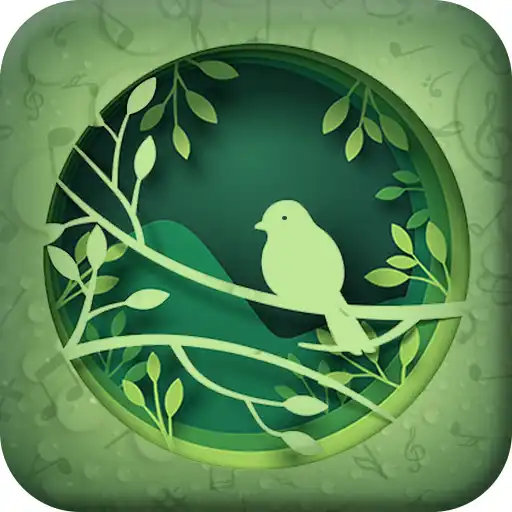 Play Nature Sound Ringtone APK