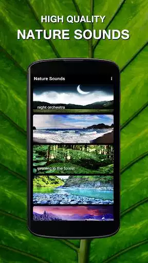 Play Nature Sounds for Sleep  and enjoy Nature Sounds for Sleep with UptoPlay