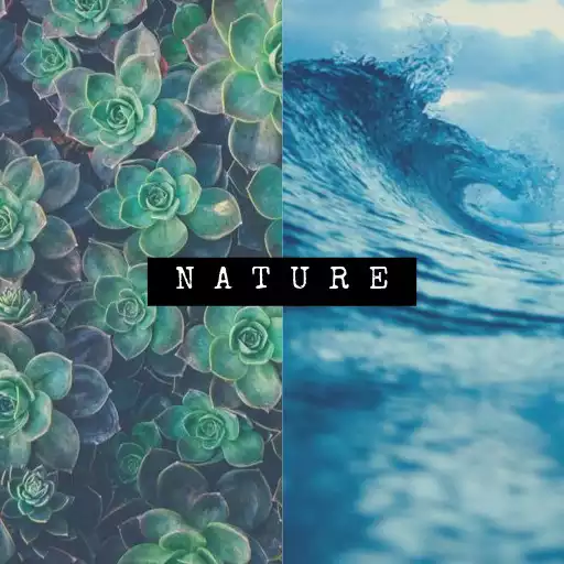 Play Nature Sounds Free Ringtones APK Play Nature Sounds Free Ringtones APK