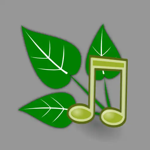 Free play online Nature Sounds Relax and Sleep APK