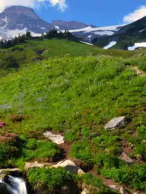 Play Nature Sounds Relax and Sleep Play Nature Sounds Relax and Sleep