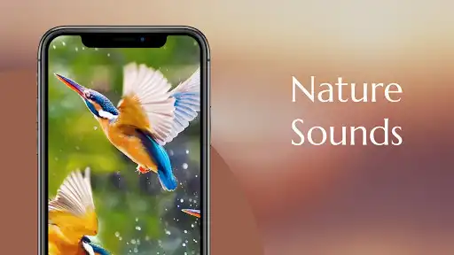 Play Nature sounds - Relaxing Music and enjoy Nature sounds - Relaxing Music with UptoPlay Play Nature sounds - Relaxing Music and enjoy Nature sounds - Relaxing Music with UptoPlay