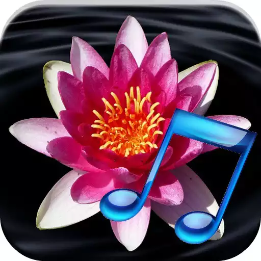 Run free android online Nature Sounds Ringtones APK