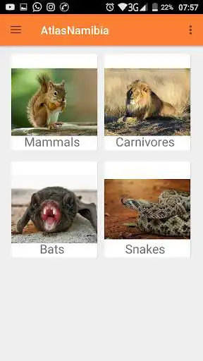 Play Nature Spotter