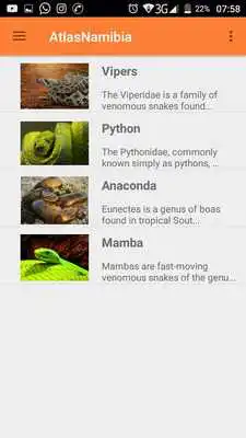 Play Nature Spotter