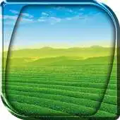 Free play online Nature Theme Wallpaper APK Free play online Nature Theme Wallpaper APK