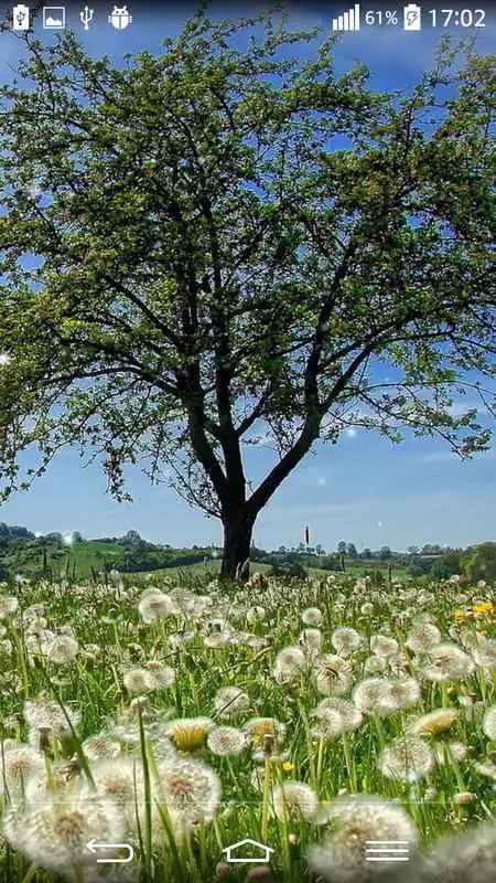 Play Nature Theme Wallpaper